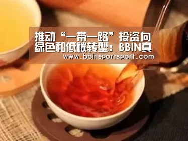 推动“一带一路”投资向绿色和低碳转型:BBIN真人(图4) BBIN视讯