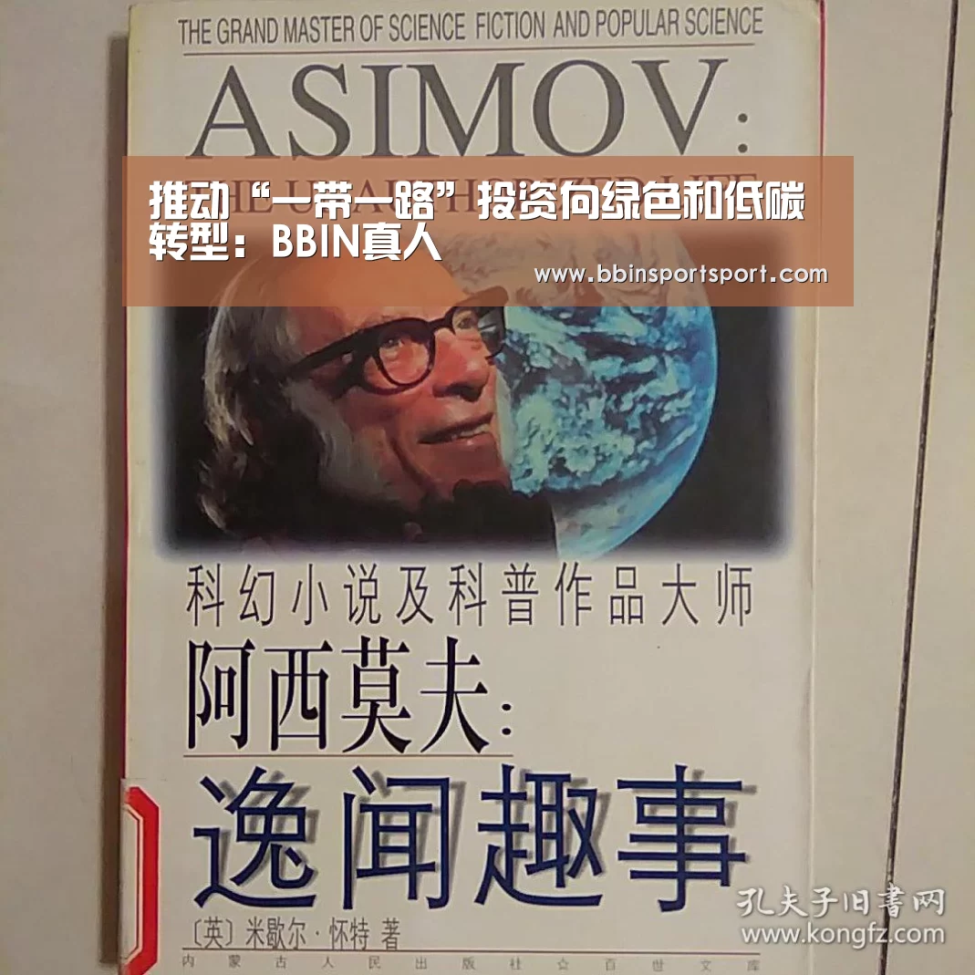 推动“一带一路”投资向绿色和低碳转型:BBIN真人(图3) BBIN官网