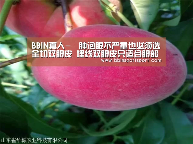 BBIN官网