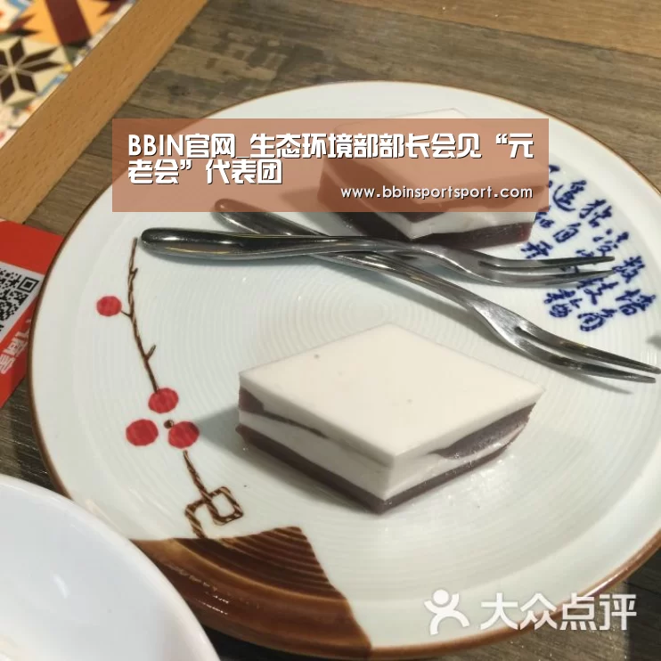 BBIN官网_生态环境部部长会见“元老会”代表团(图2) BBIN视讯