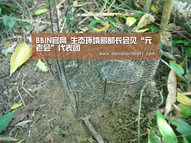 BBIN官网_生态环境部部长会见“元老会”代表团(图3) BBIN真人